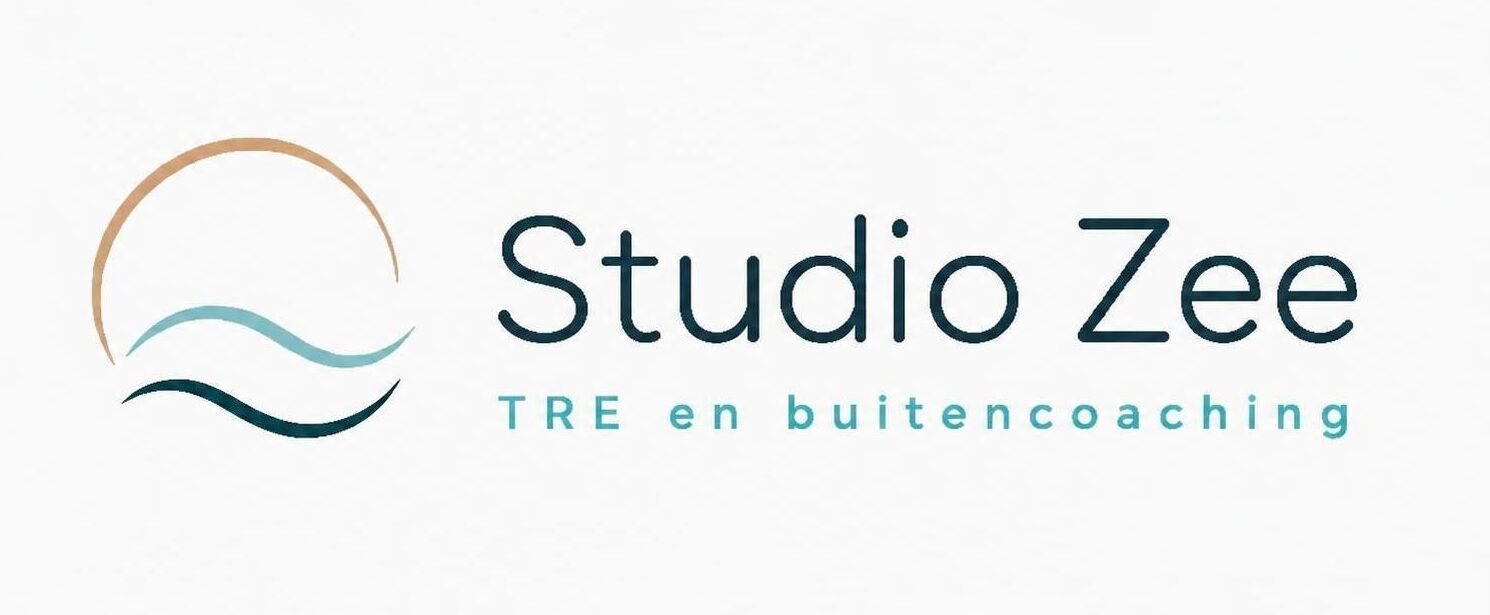 Studio Zee